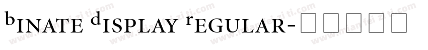 Binate Display Regular字体转换